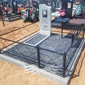 Проект 308 - индивидуальные проекты памятников