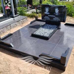 Проект 310 - индивидуальные проекты памятников