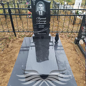 Проект 313 - индивидуальные проекты памятников