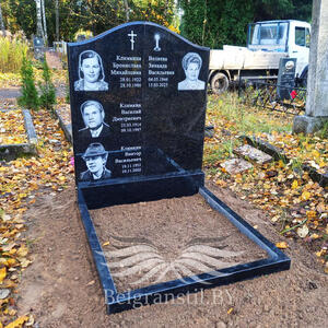 Проект 317 - индивидуальные проекты памятников