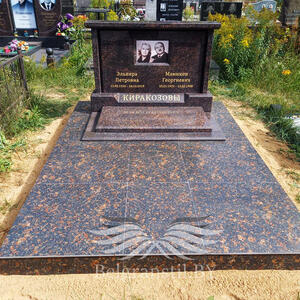 Проект 320 - индивидуальные проекты памятников