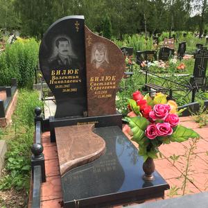 Проект 50 - индивидуальные проекты памятников