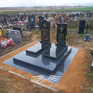 Проект 197 - индивидуальные проекты памятников