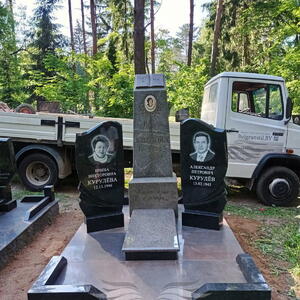 Проект 203 - индивидуальные проекты памятников