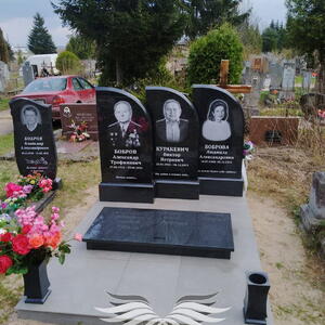 Проект 206 - индивидуальные проекты памятников