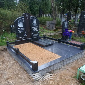 Проект 223 - индивидуальные проекты памятников