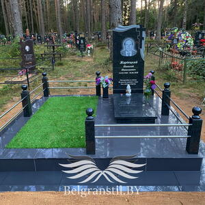 Проект 229 - индивидуальные проекты памятников