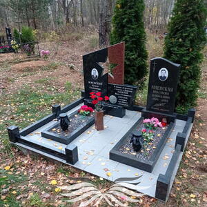 Проект 264 - индивидуальные проекты памятников