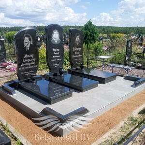 Проект 265 - индивидуальные проекты памятников