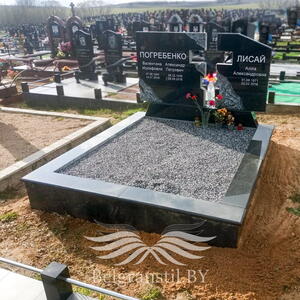 Проект 290 - индивидуальные проекты памятников